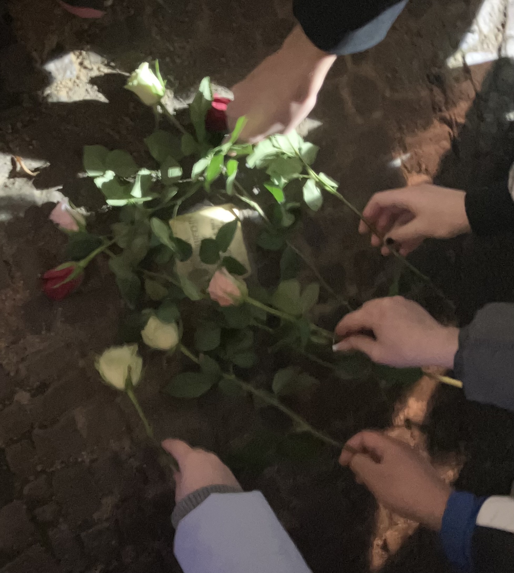 Stolperstein mit Rosen